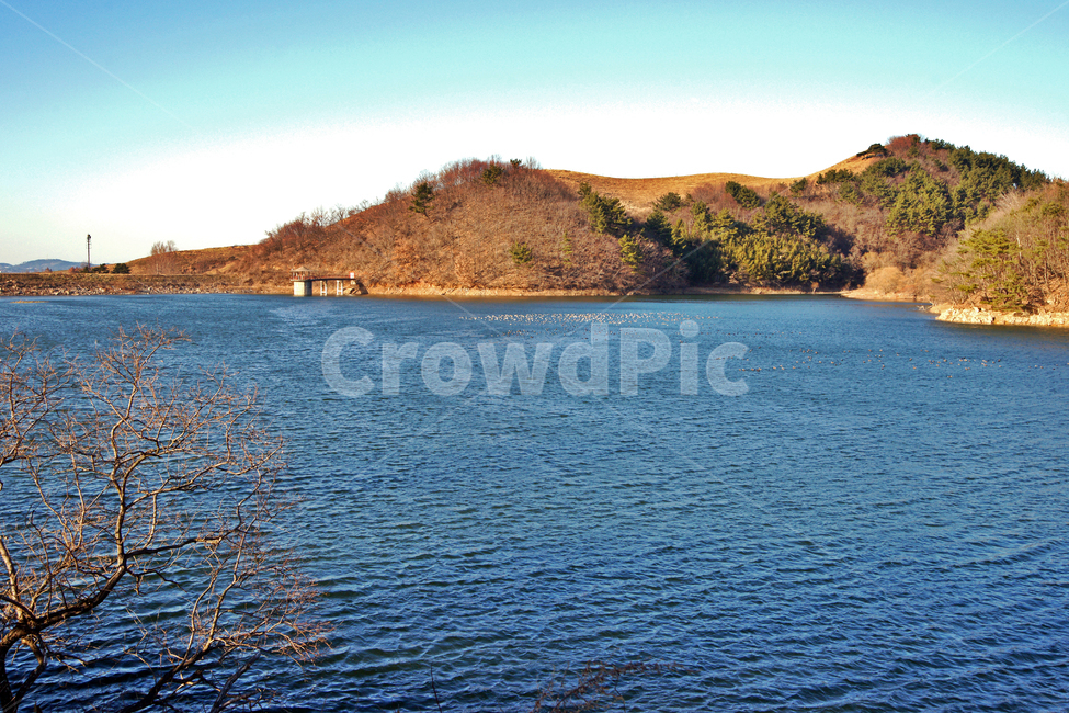 신창제,신창제저수지,서산,충청남도,저수지,자연,자연,풍경,nature,landscape