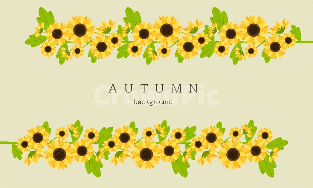 꽃,해바라기,가을,프레임,감성,배경,백그라운드,가을,계절,fall,autumn,season,그래픽,일러스트레이션,graphic,illustration,plant,식물,blossom,flower,sunflower