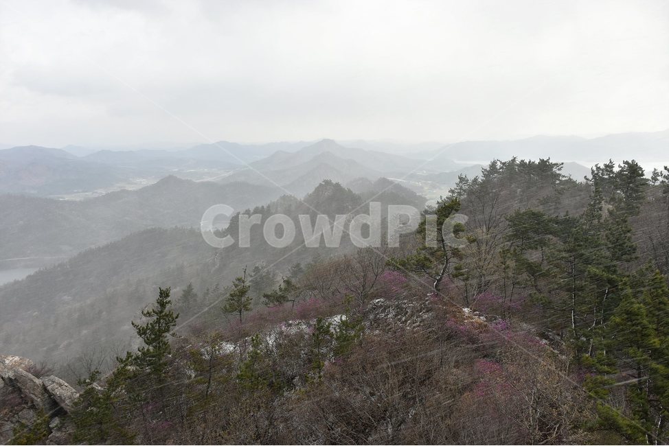주작산,덕룡산,종주,진달래,풍경,기암,바위,비경,봄풍경,진달래꽃,강진,명산,산행,등산,마운틴,힐링,mountain,landscape,자연,natural,봄,계절,spring,season,자연,풍경,nature,landscape,한국자연풍경,한국자연경관,korea nature landscape,weather,날씨,outdoors,옥외