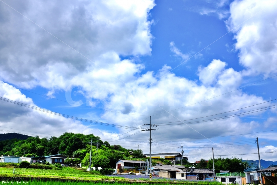 landscape photography,mood,clear sky,countryside,cure,Emotional photo,cloud,pretty photo,pretty clouds,Emotion,Picturesque photo,snap