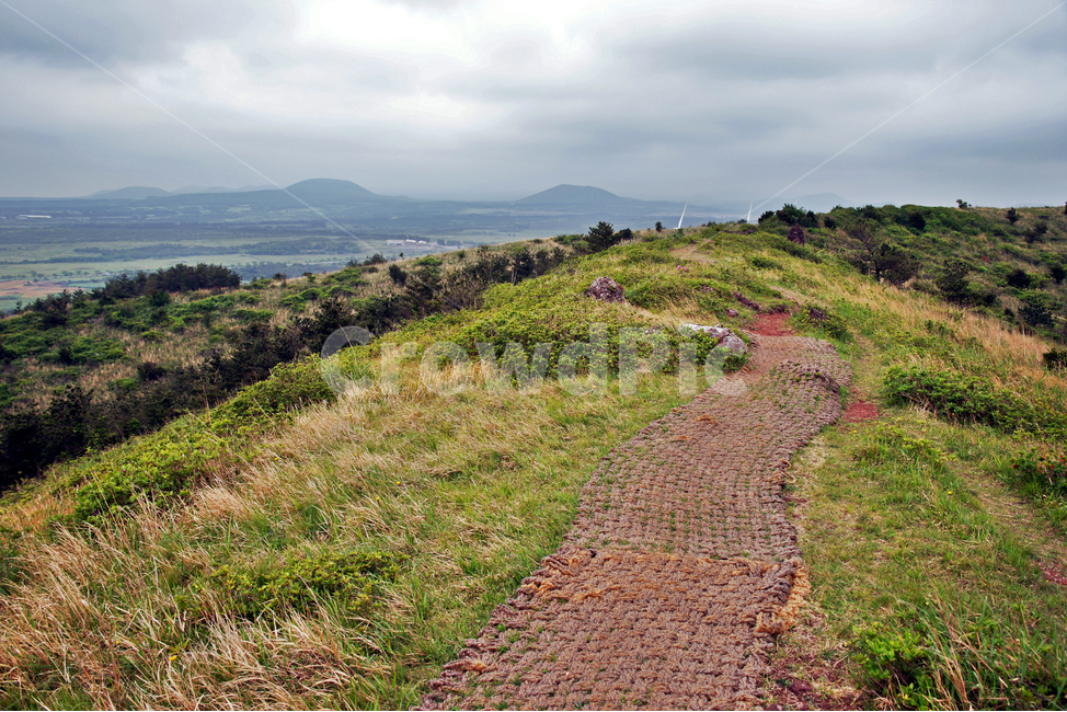 갑마장길,제주도,표선면,오름,따라비오름,기생화산,가시리,탐방로,자연,풍경,nature,landscape