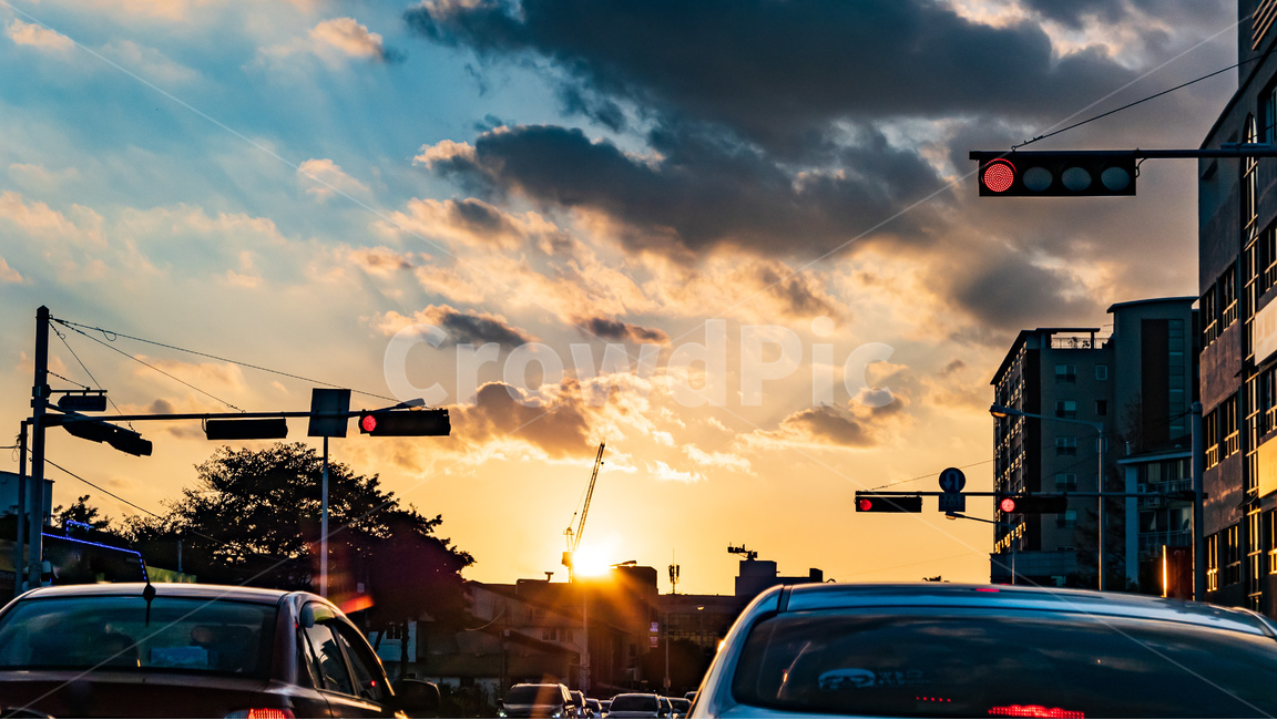 trafficlight,신호등,light,빛,vehicle,차,car,교통,transportation,차량,automobile,자동차,wayhome,퇴근,퇴근길,도로,일몰,해질녘,sunset,교통,교통수단,traffic,transportation