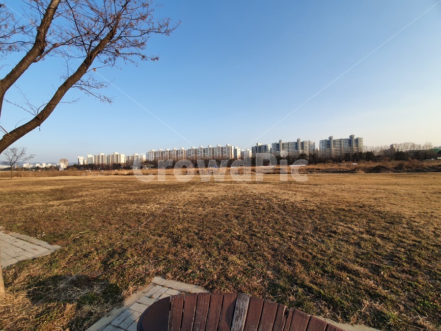 공원하늘,공원,하늘,park,f나무,tree