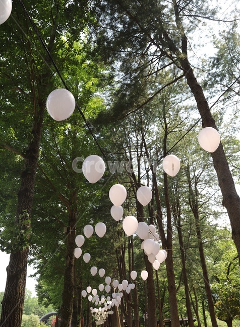 풍선,산책,garden,tree,나무,안마당,정원,가정장식