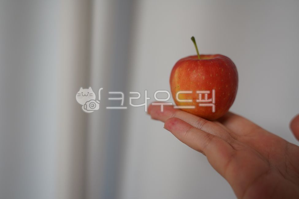 사과,미니사과,빨간사과,과일,apple,손가락,사과손