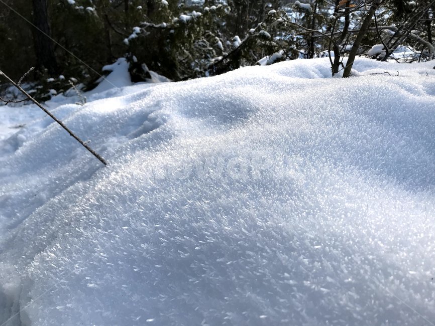 outdoors,눈,snow,winter,겨울,입자,겨울,계절,winter,season
