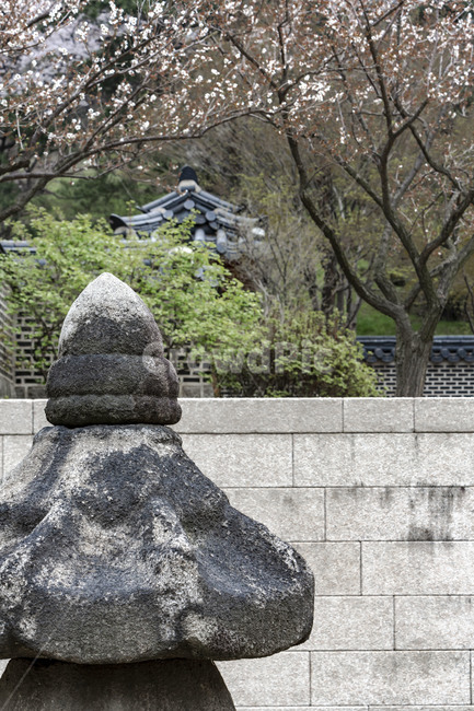 석등,석공예,호암미술관,후원,정원,봄,벚꽃,한국전통,한국문화,korean traditional,korean culture