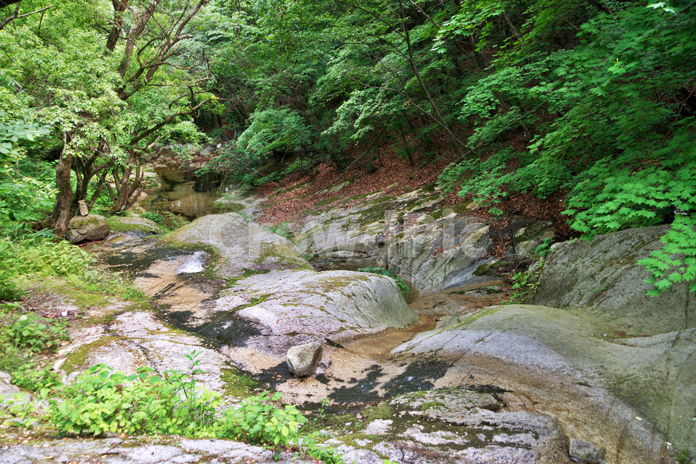 계곡,오봉산,춘천,바위,계류,숲,자연,암석,자연,풍경,nature,landscape,water,물,outdoors,옥외,stream,흐름,creek,작은 만