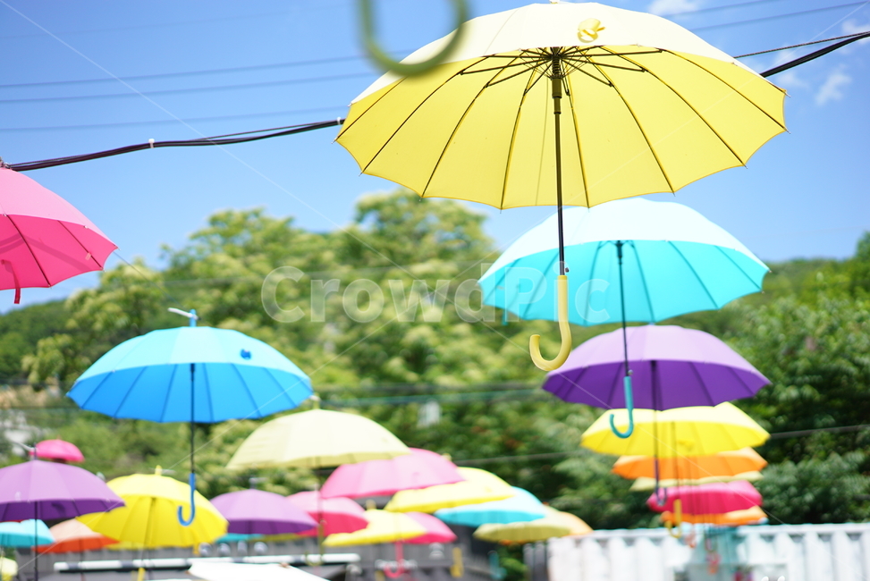 umbrella,우산,무지개색,무지개,노란색,파란색,색,하늘,풍경,감성사진