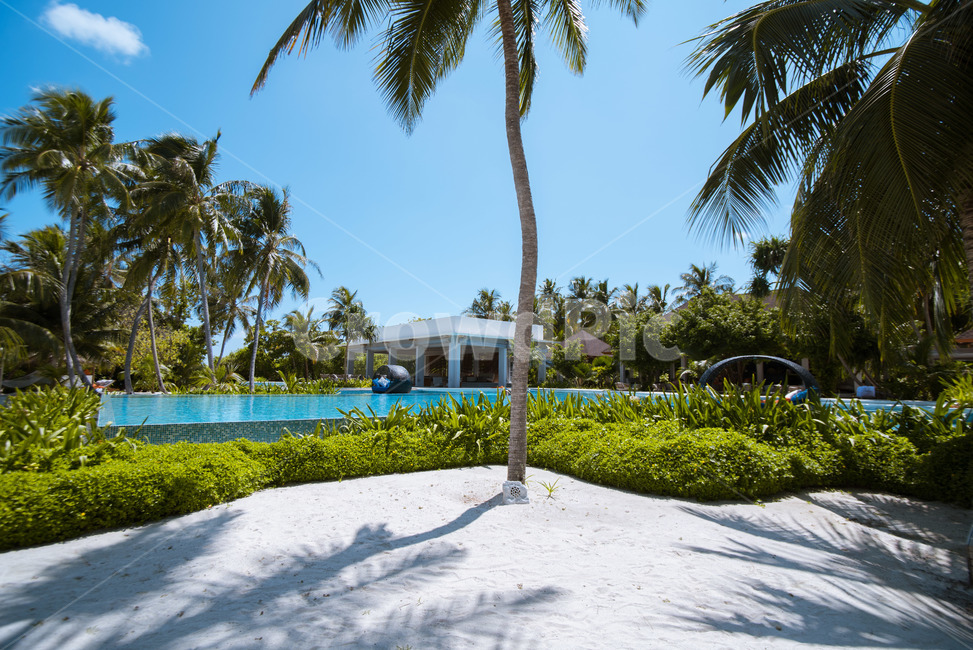 몰디브,maldives,풍경,sea,하늘,수영장,pool,자연,풍경,nature,landscape,해변,바다,beach,sea,해외,외국,세계,foreign,oversea,world,세계자연풍경,해외자연풍경,외국자연풍경,world nature landscape,summer,여름