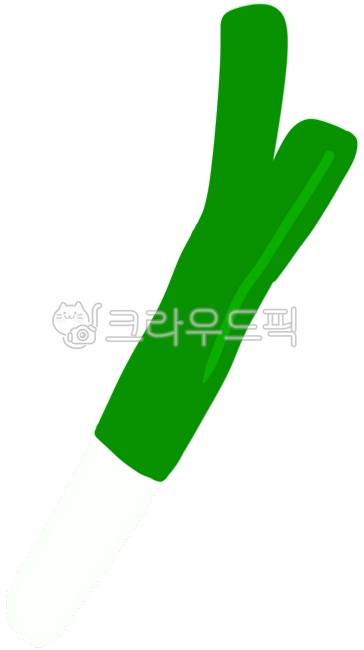 채소, 파, 대파, 야채, 대파모양, 사진,이미지,일러스트,캘리그라피 - breadbear작가