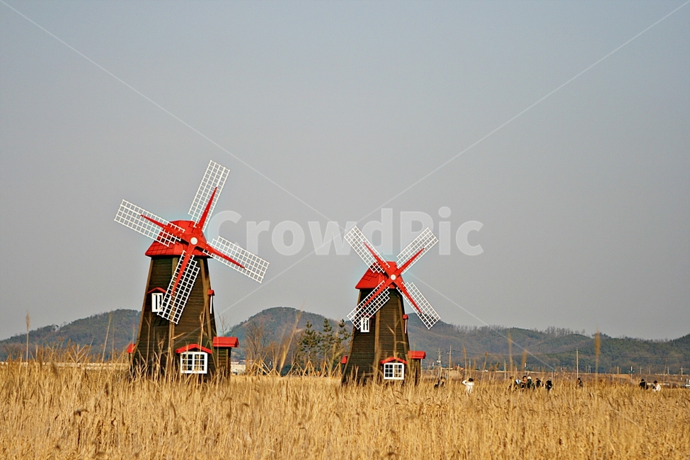 풍차,바람,억새,가을,자연,가을,계절,fall,autumn,season,건축물,건물외관,exterior,building,structure,architecture,construction,machine,기계,engine,엔진,motor,모터