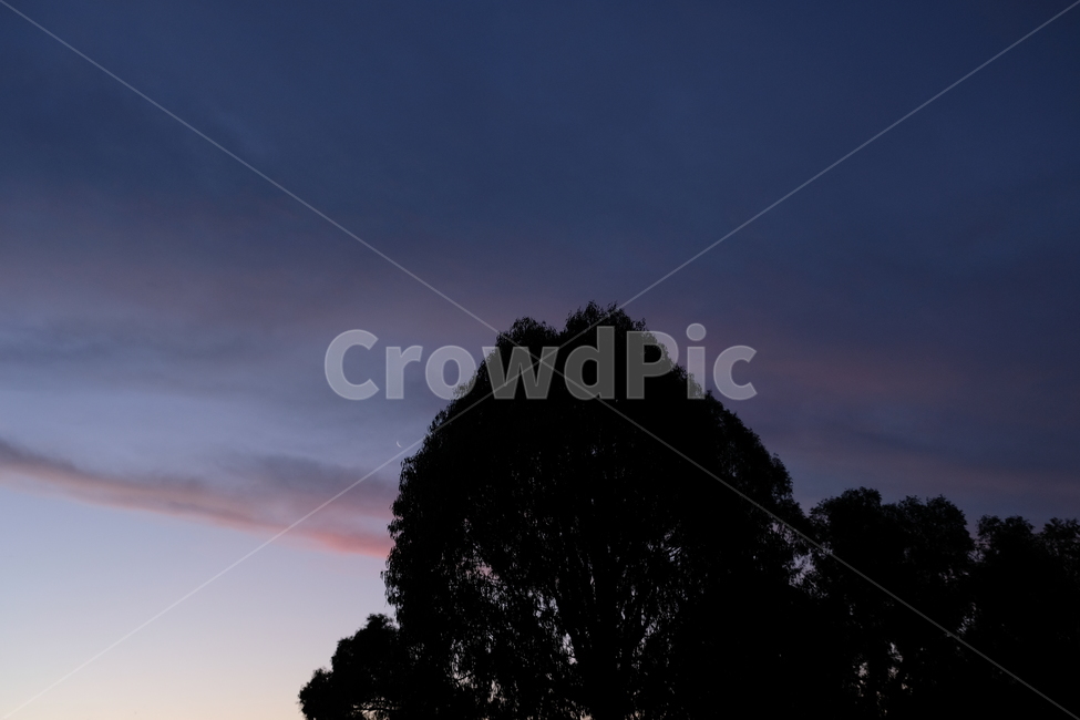 노을,하늘,감성,색감,nature,자연,핑크빛,푸른하늘,sky,pinksky,핑크,나무,tree,식물,자연,plants,nature,나무,trees,wood