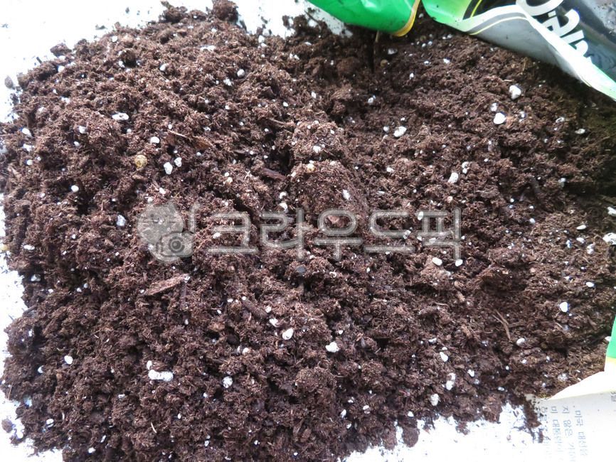 soil, 흙, plant, 식물, 정원, 사진,이미지,일러스트,캘리그라피 - semmybox작가