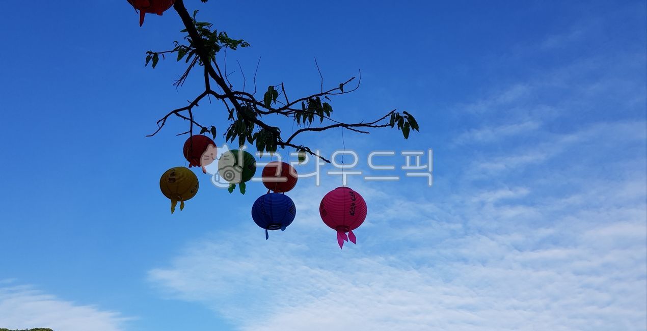 sky,clarity,etc,Buddhas birthday,lotus lanterns
