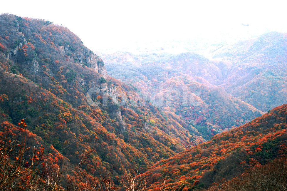 mountain,산,nature,자연,outdoors,단풍,가을,내장산