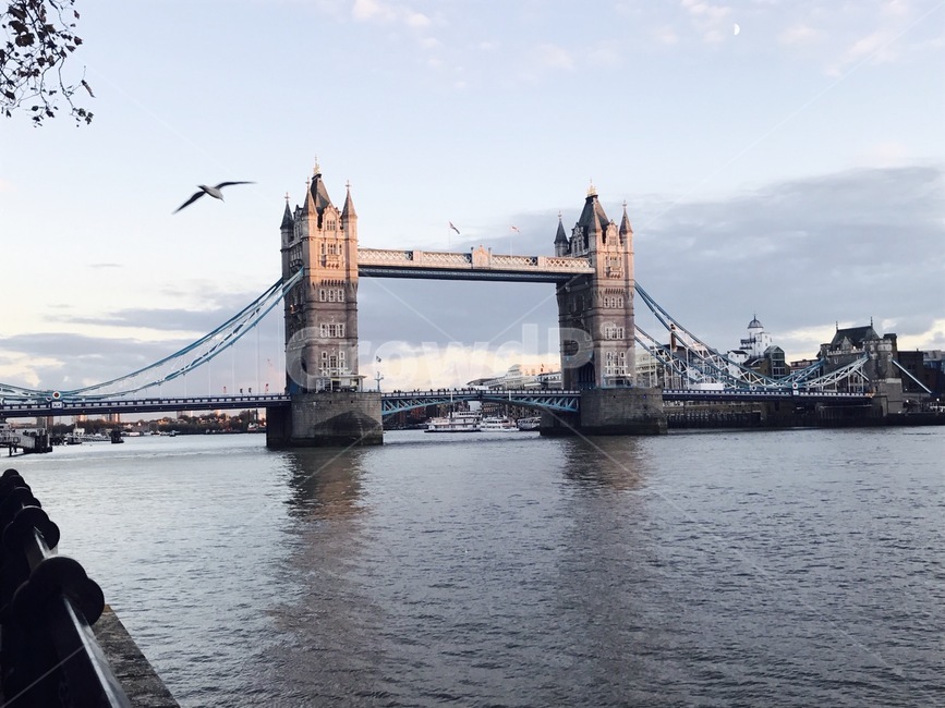 london,런던,풍경,런던브릿지,강