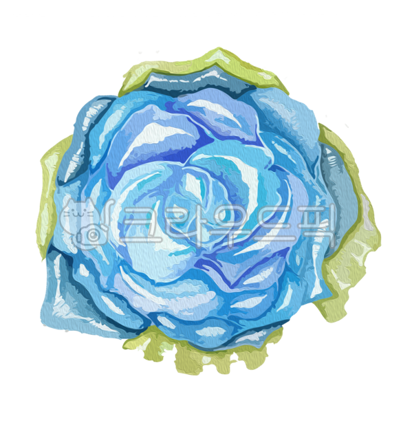 장미,푸른장미,파란장미,꽃,유화,png,장미소스,수채화,장미그림,꽃그림,flower,rose