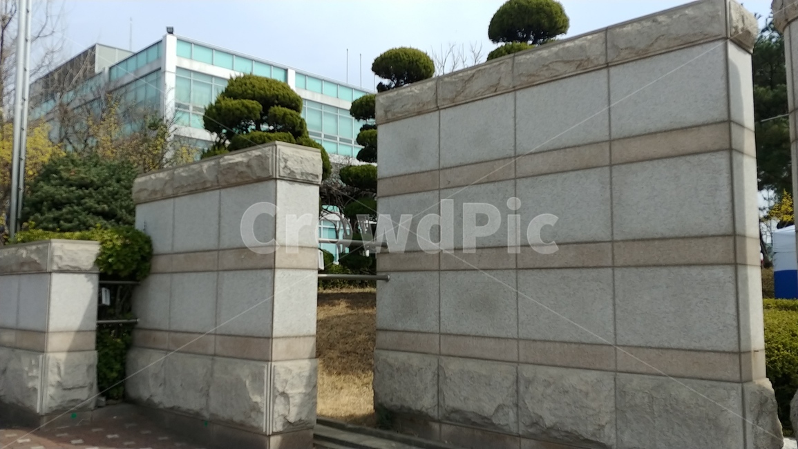 건물,벽,빌딩,대학교,정문,캠퍼스,나무