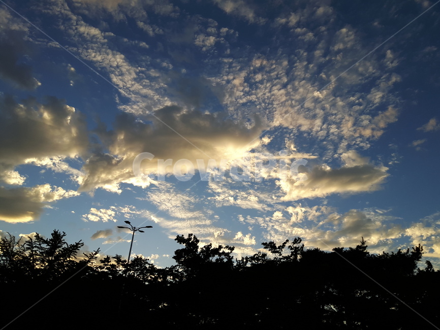 하늘,구름,나무,풍경,자연,자연,풍경,nature,landscape,outdoors,옥외