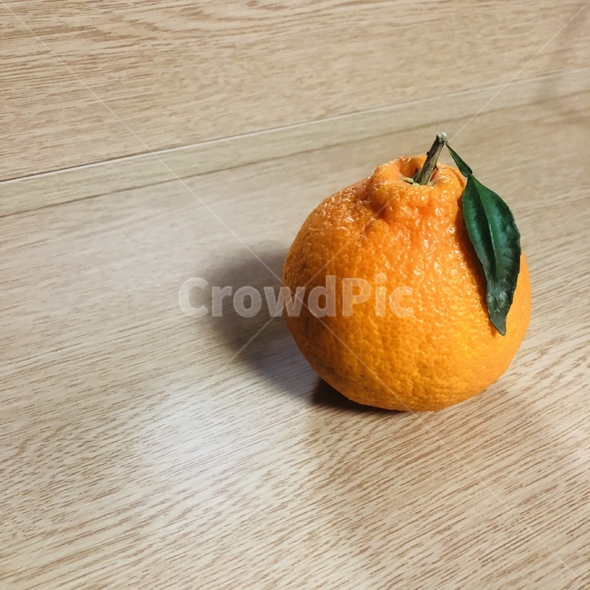 한라봉,제주,주황색,과일,초록색,음식,식재료,요리,food,cook,meal,dishes,food reserves,과일,열매,fruit