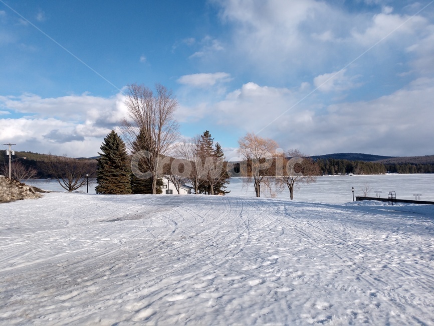 nature,outdoors,tree,자연,옥외,눈,눈덮인,snow,설원,겨울,미국,usa,america,winter,맑음,청량,겨울,계절,winter,season,자연,풍경,nature,landscape,fir,전나무,plant,식물,나무