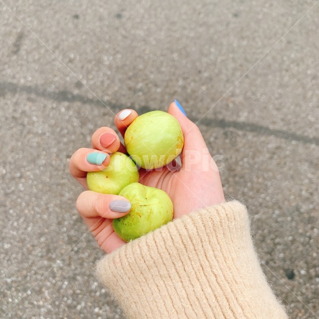 가을,대추,베이지,네일,손