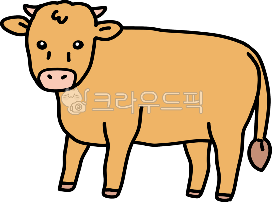소, 동물, 축산, 축산업, 소고기, 사진,이미지,일러스트,캘리그라피 - ohhola028e작가