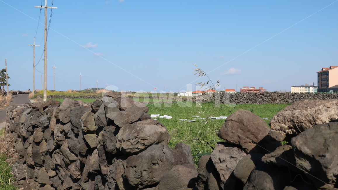 돌담길,돌담,풍경,제주도,제주도돌담길,자연,풍경,nature,landscape,한국자연풍경,한국자연경관,korea nature landscape,제주도,jeju,jeju island,시골,마을,country,rural,town,rubble,파편,ground,바닥