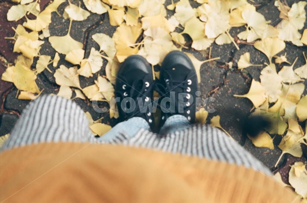 clothing,의류,신발,단풍,가을,가을,계절,fall,autumn,season