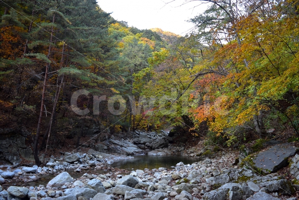 설악산,가을,풍경,단풍,탐방,국립공원,파란하늘,가을색,오색,울긋불긋,알록달록,그림같은,칼라풀,뷰티플,아름다운,힐링,감성,자연,정취,산세,명산,100대명산,nature,산,등산,트레킹,비경,경치,사진,색채,가을의정취,가을,계절,fall,autumn,season,자연,풍경,nature,landscape,한국자연풍경,한국자연경관,korea nature landscape,water,물,outdoors,옥외
