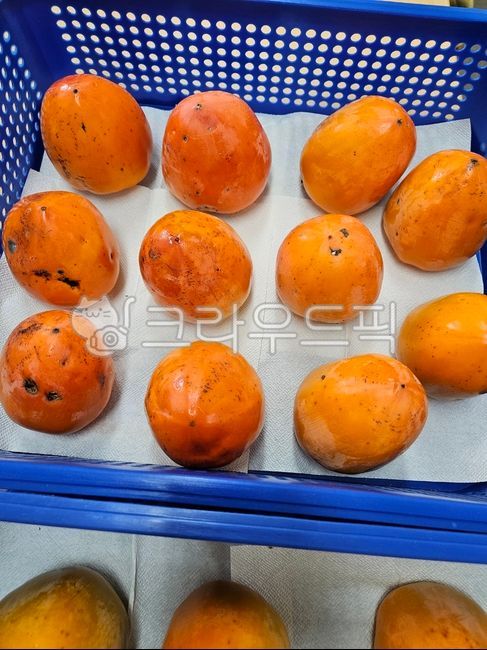 Daebong,persimmon,Daebong persimmon,making Hongsi,autumn fruit,fruit