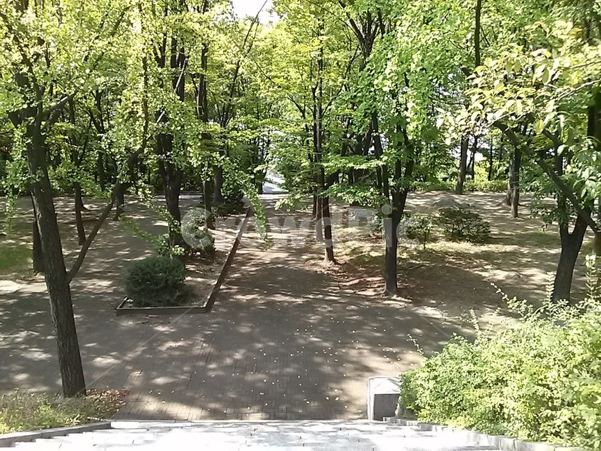 옥외,계단,쉼터,자연,정원,식물,자연,plants,nature,나무,trees,wood