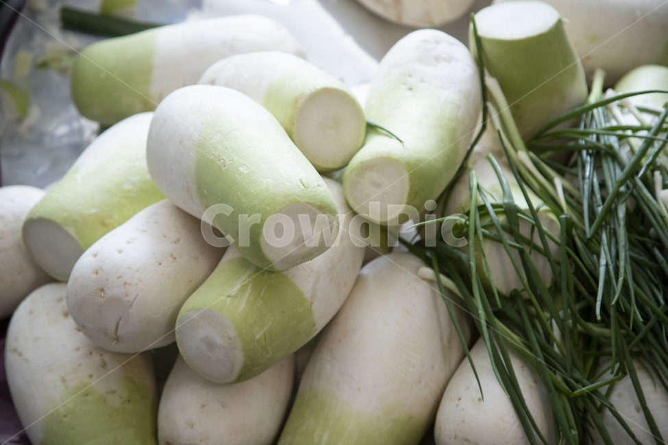 음식,전통,오브젝트,한국,동양,아시아,식재료,맛있는,식품,무우,김장,반찬,발효,전통음식,쪽파,생활,음식,식재료,요리,food,cook,meal,dishes,food reserves,채소,야채,vegetables