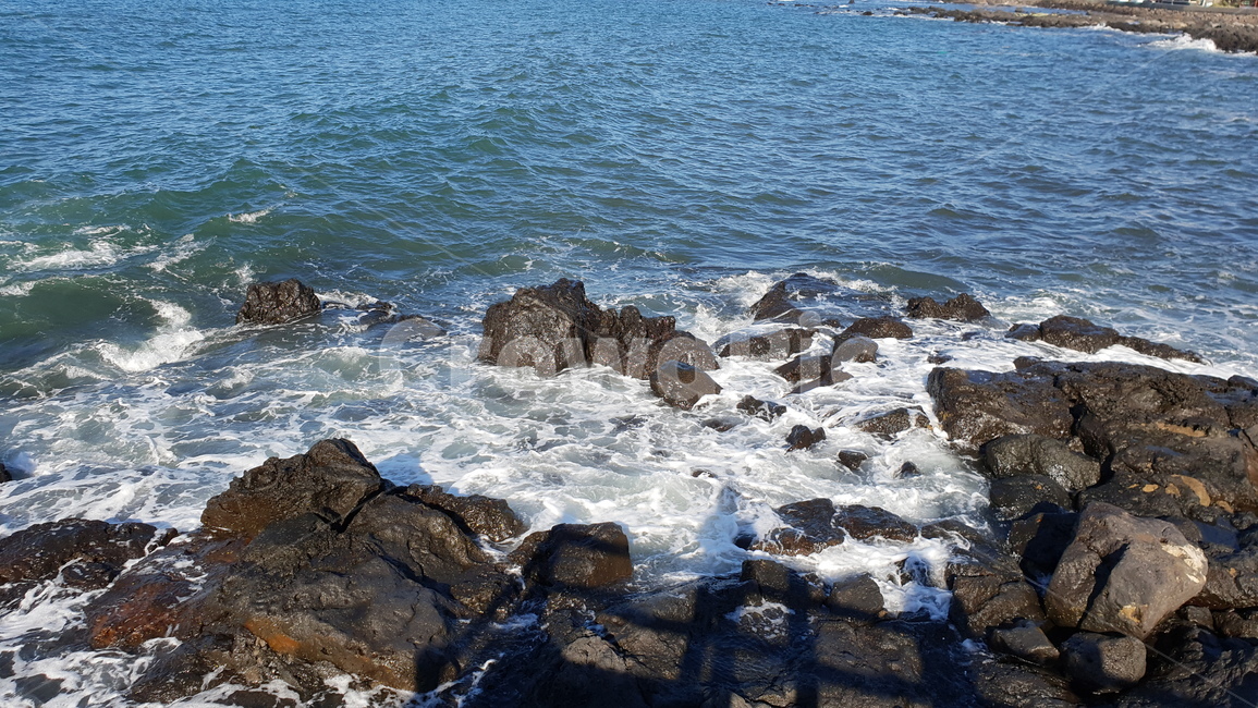 제주도,바람,물보라,바닷바람,파도,바다,여름,색감,거품,해변,물,물결,색,감성,자연,풍경