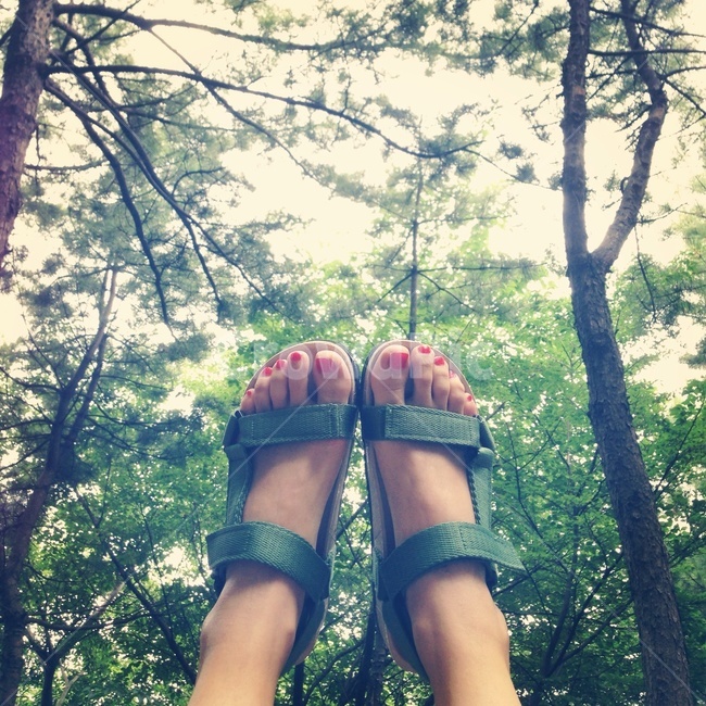 footwear,sandal,샌들,summer,감성사진,감성,발,food,패디큐어,피톤치드,phytoncide,forest,숲,rest,break,여름날,기다림,trip,free,여유로움,여행,sensible,휴가,travel,일상,여행하다,발샷,sensibility