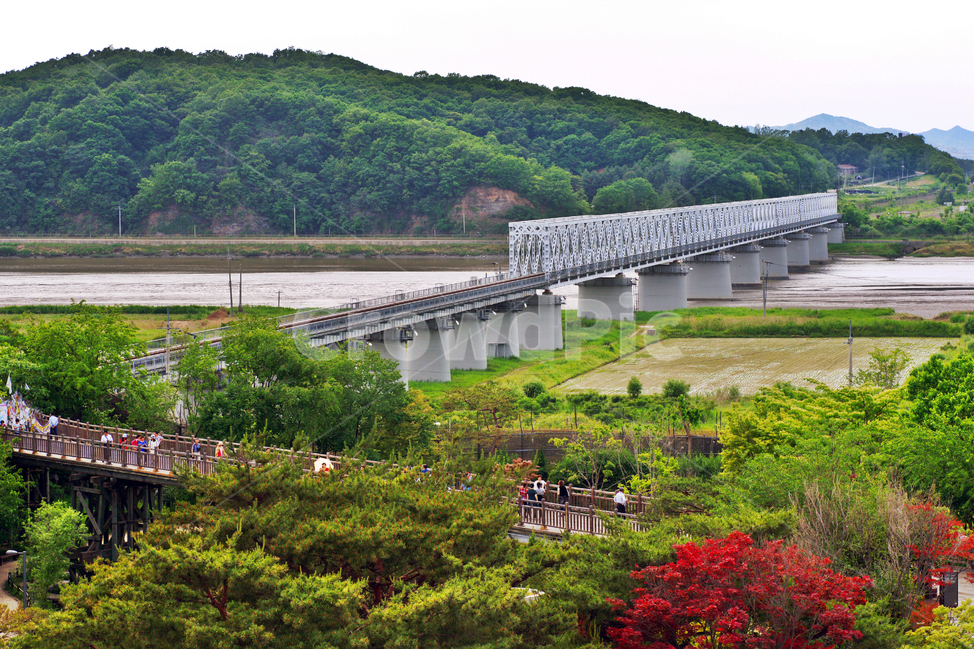 임진각,철교,분단의상징,625,교량,자연,풍경,nature,landscape,한국자연풍경,한국자연경관,korea nature landscape,사람들,대중,군중,other people,crowd,road,도로