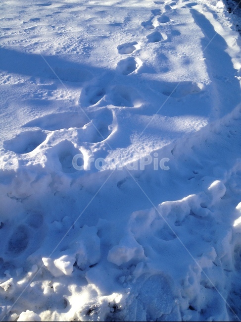 눈,snow,발자국,겨울,winter,footprint,눈길,하얀
