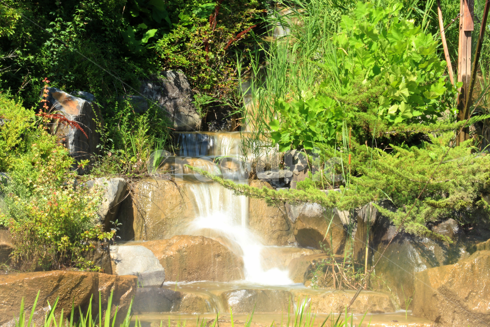 시냇물,물,water,떨어지는물,풀