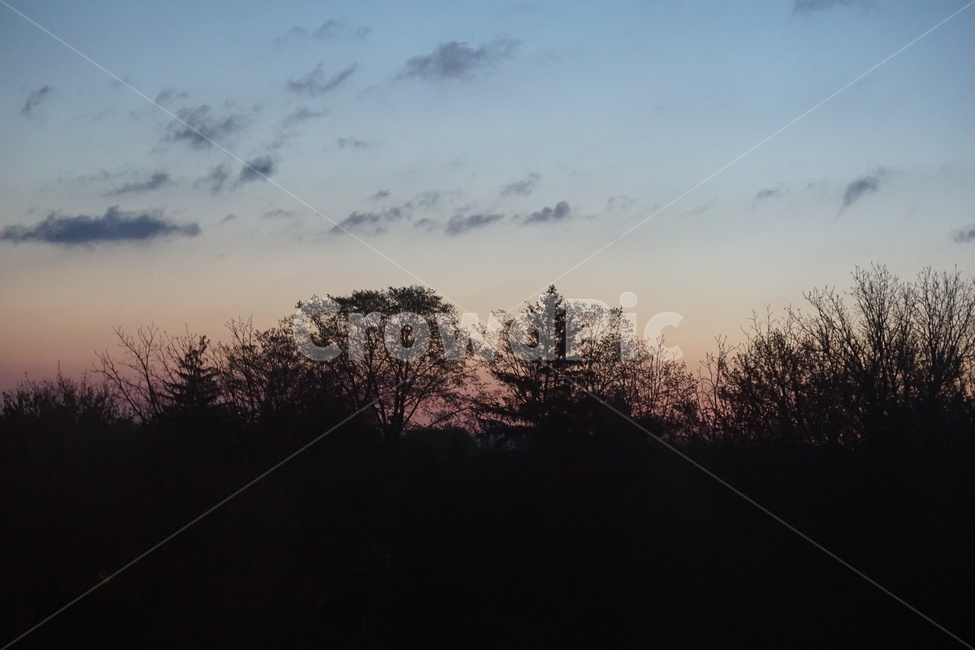 노을짐,노을,저녁노을,노란햇빈,밤나무,evening