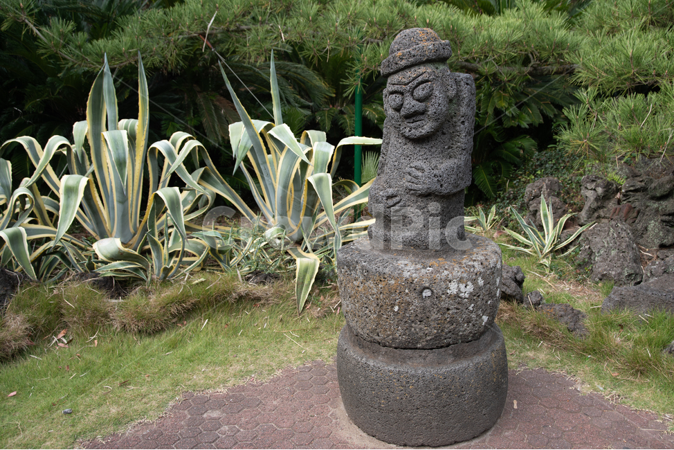 풍경,제주도,한국,제주,경치,상징,상징물,돌,현무암,석상,조각,특산물,여백,카피스페이스,가을,돌하르방,대한민국,카피스페이스,제주도,jeju,jeju island,조각상,동상,석상,조형물,statue,bronze statue,stone statue,plant,식물,aloe,노회