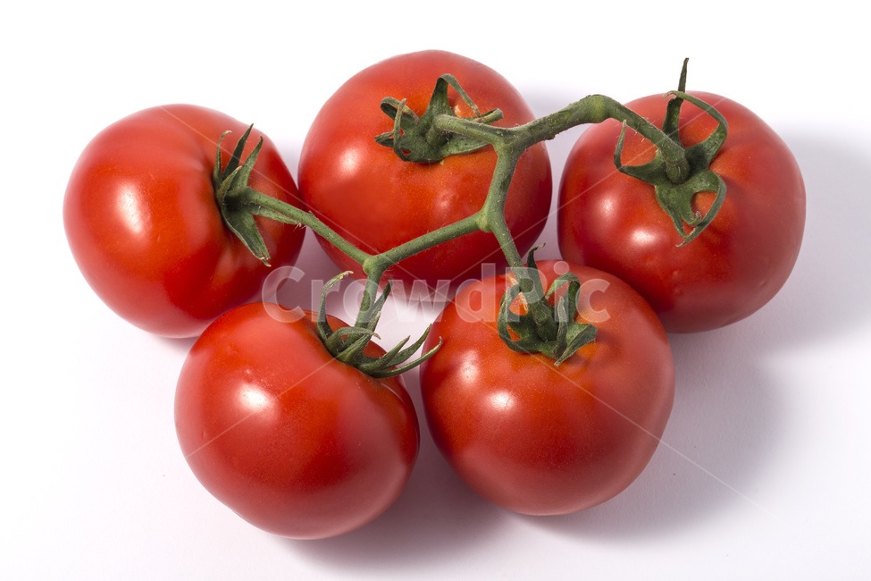 토마토,채소,야채,과일,비타민,유기농,주황색,빨간색,생과일,다이어트,식재료