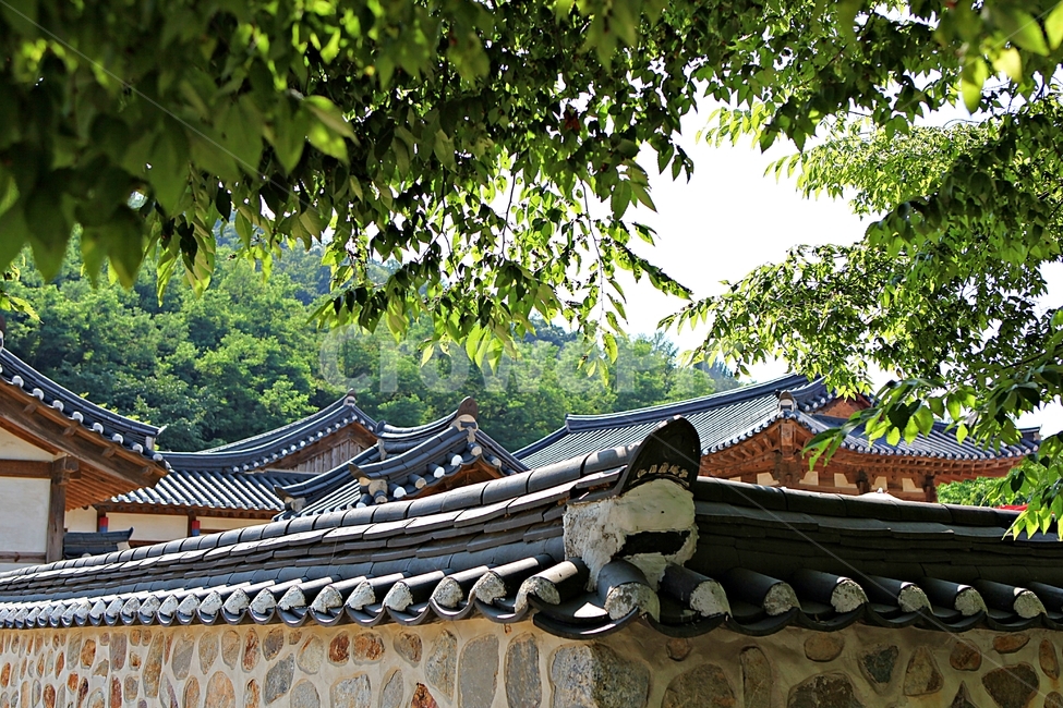 기와집,전통집,한옥,집,옛날집,한국전통,한국문화,korean traditional,korean culture,건축물,건물외관,exterior,building,structure,architecture,construction