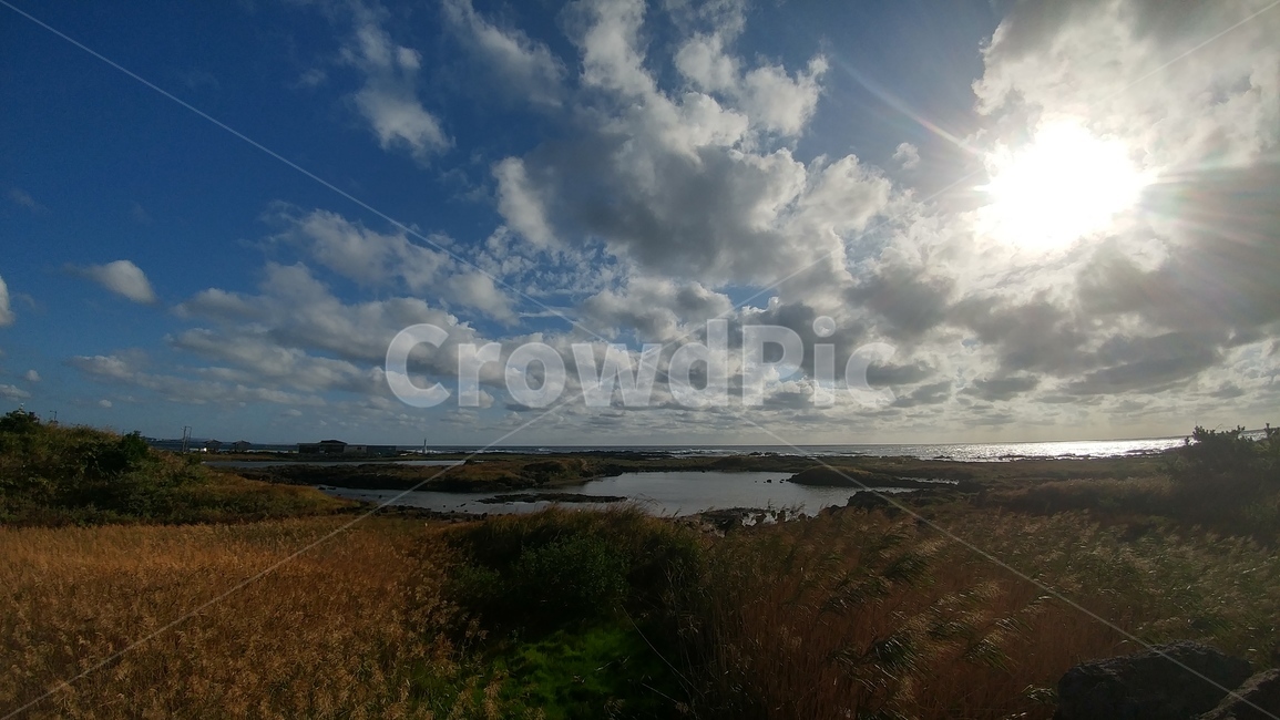 하늘,바다,수평선,갈대,제주도,제주도,jeju,jeju island,nature,자연,outdoors,옥외,flare,플레어,light,빛,weather,날씨,land,땅