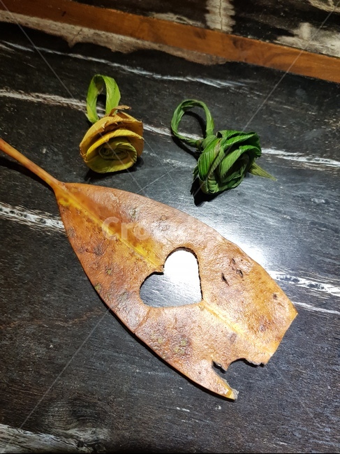 나뭇잎,하트,사랑,낙엽반지,heart,love,감성,가을,낙엽