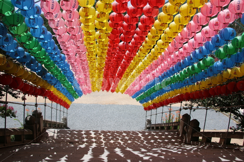 절,등,소원등,종교,불교,그림자,야외,사찰,color,색감,불교행사,한국적인,전통,ourdoors,temple,종교,신앙,religion,belief,faith