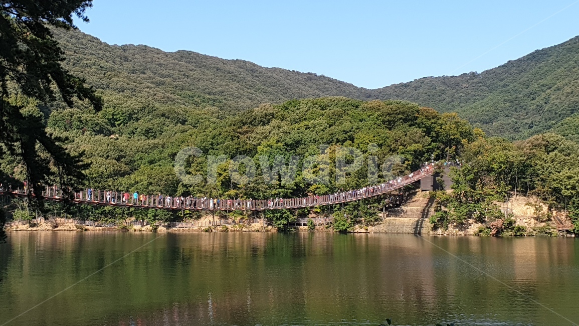 파주,마장호수,출렁다리,흔들다리,호수,둘레길,nature,outdoors,water,lake
