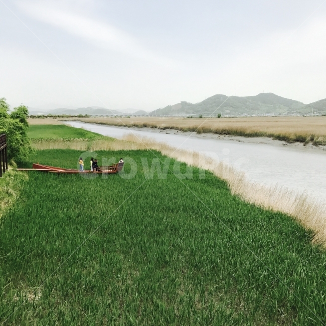 가을,갈대,풍경,국내,자연,가을,계절,fall,autumn,season,자연,풍경,nature,landscape,plant,식물,grass,잔디,outdoors,옥외,field,들,grassland,목초지