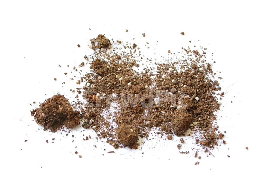 흙,모래,soil,sand,soiltexture,덩어리,탑앵글,흰배경,누끼,가루,흙가루,모래가루,갈색,브라운,텍스춰,건조한,black,botany,brown,closeup,compost,dark,dirt,dirty,dry,dust,grain,heap,humus,ingredient,macro,mineral,nobody,object,organic,path,powder,splash,spray,texture,topview,toxic,뿌린,누끼,remove background