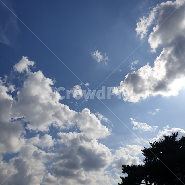 자연,nature,하늘,푸른하늘,sky,낮,구름,맑음,날씨